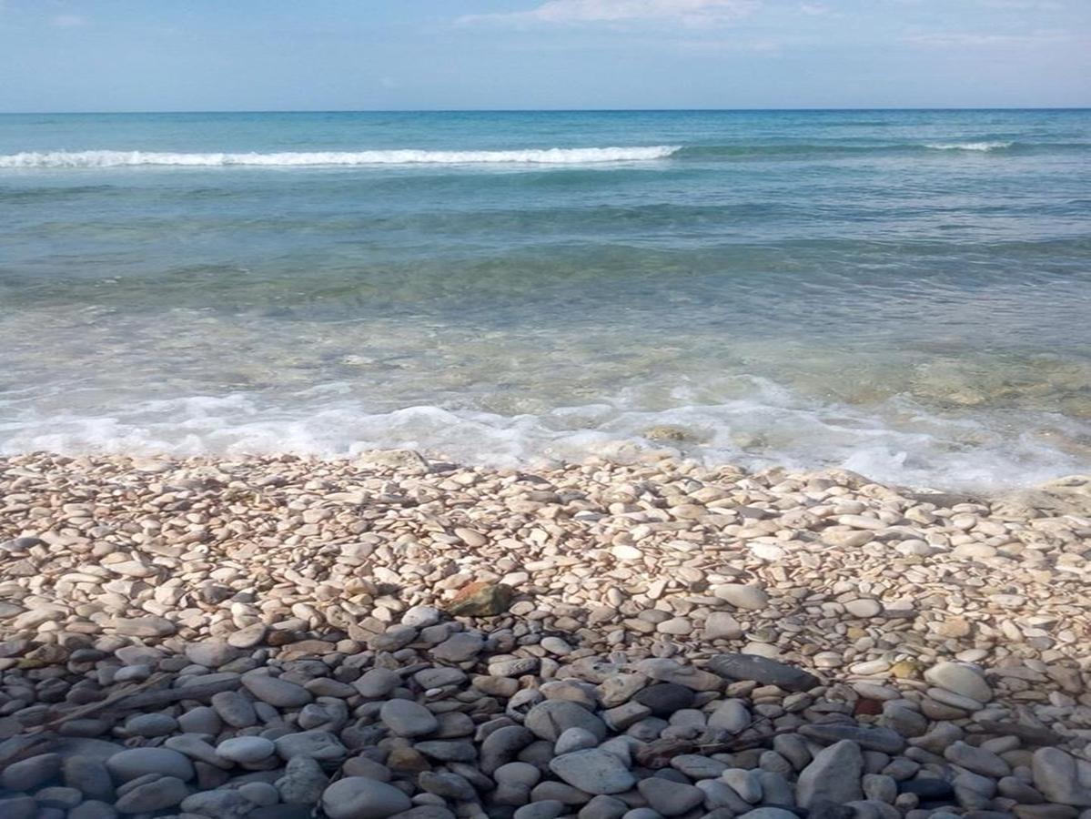 Pelagion II Sea Coral - Beachfront Holiday Home Кипсели Экстерьер фото